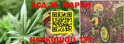 бошки Заводоуковск